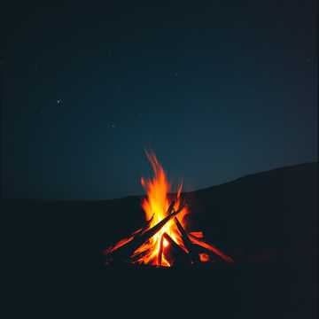 رحلة البرية