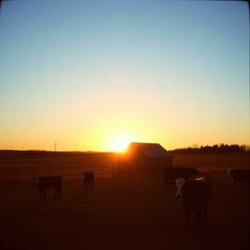 Back Road Memories