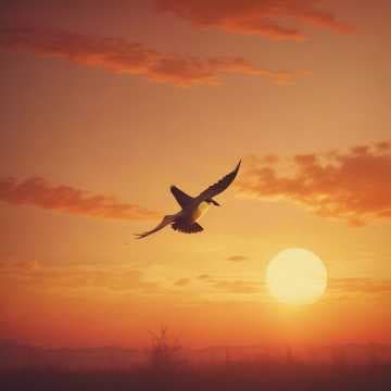 First Flight