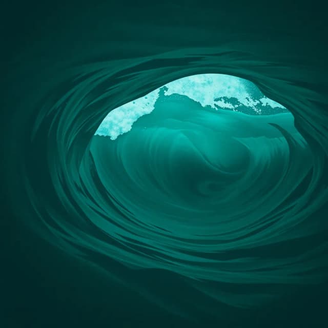 Canción Convivencia