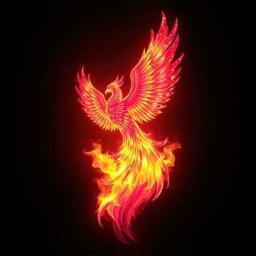Rising From The Ashes