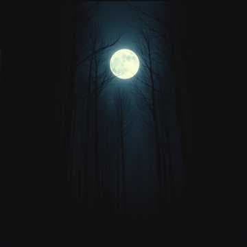 Luna nueva 