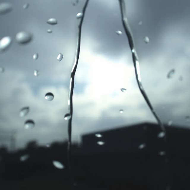 Everything changes Op2
