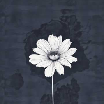 等不到天黑