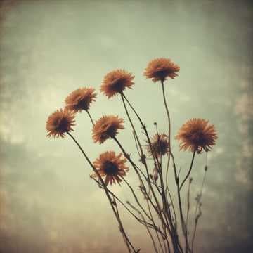 Test 2