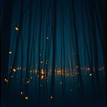 Feel The Flare
