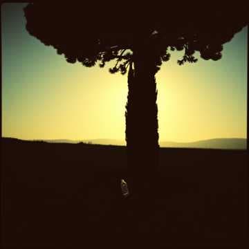 Southern Shadows