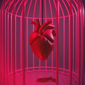 Broken Love