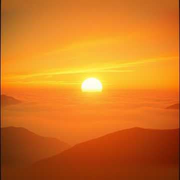 Rise and Shine Hustle