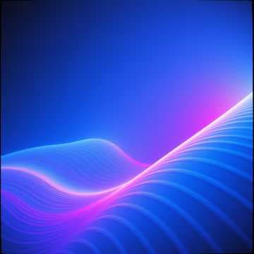 Harmony in the Night