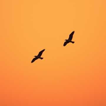 Away From Here