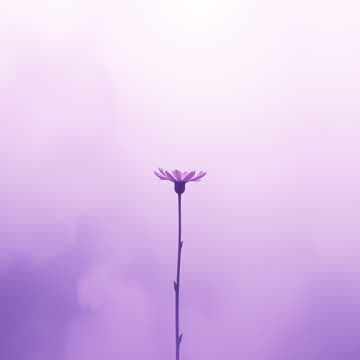 Dearest life new part 1