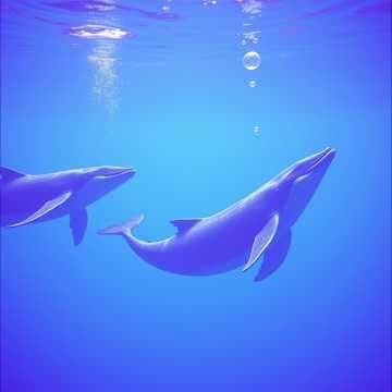 Humpback