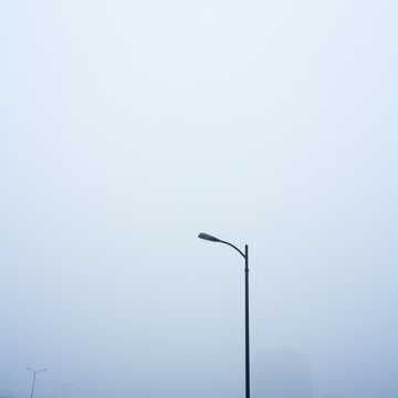 Fogbound Hearts