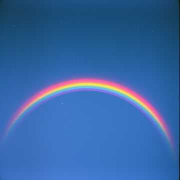 LGBTQIA mix