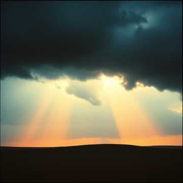 Ashes to Shadows