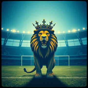 We Are The Belgians