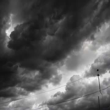 Ombres Sans Voiles