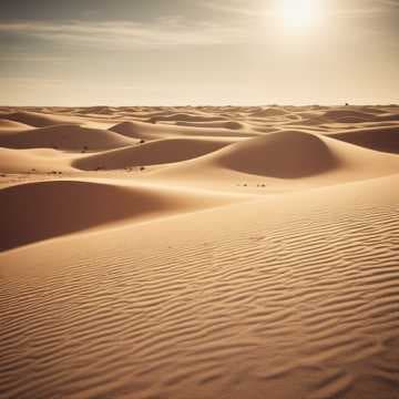 Desert Pulse Journey