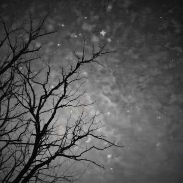 Whispers of Lost Dreams