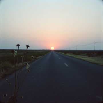 The lonely road 