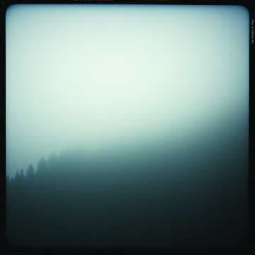 Whispers in the Fog