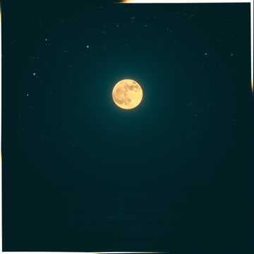 Midnight Glow Dance