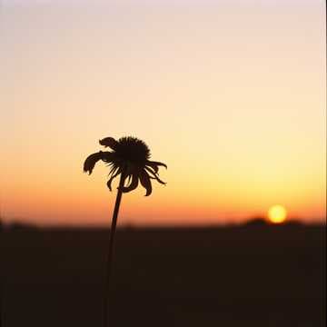 This ia how it ends
