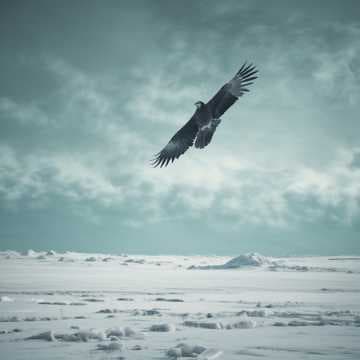 Echoes of the Valiant