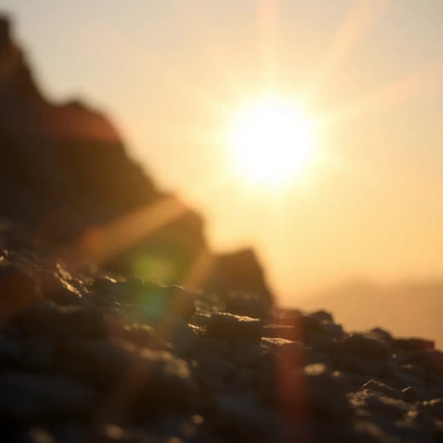 Sol de Mi Vida