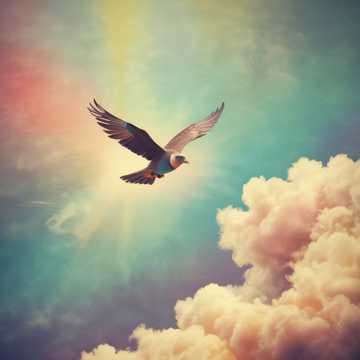 Journey to the heart