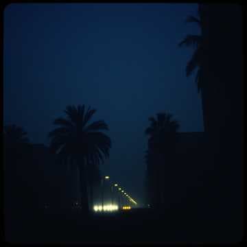 Noite de Sombras