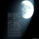 Front Porch Memories