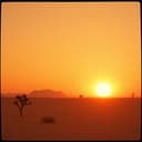 أعلى الجمال