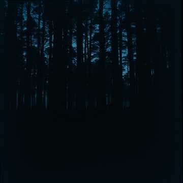 Shadow's Anthem