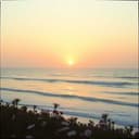 Guten Morgen Desiree!