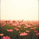 우리가족 사랑2