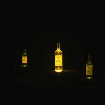 Soy borracha de tu amor