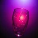 Holden's Electric Night