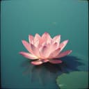 Om 아르늑게 사바하