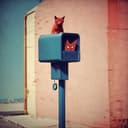 Tyisha's Love Letters