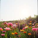 Hyllningssång för Marina