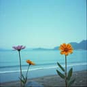 Cursó de Inglés ( Personalizado )#4. Autor: A. A. Mc. V. ©™®