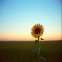 Title: Grayson & Georgia