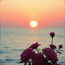 Dj Pedro Miranda - Moment 