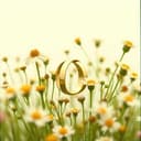 Samen 50 Jaar: Raymond en Marlou