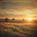 Mulher de Provérbios 31