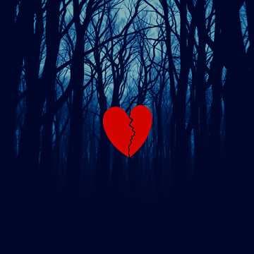 Niemand Versteht Mich