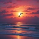 Amor de Sol