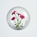 DemeterVerschwörerMartin